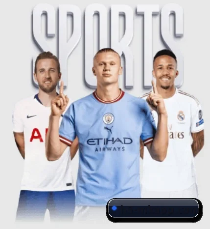 MK体育的故事 - 体育资讯内容服务（MKSPORTS）